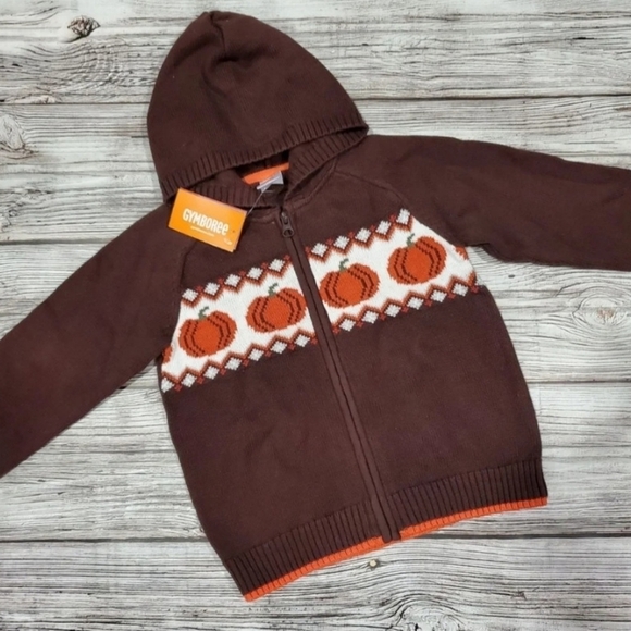 Gymboree Fall Harvest Pumpkin Sweater - Picture 7 of 8